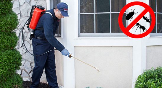 Savur Gümüşkurt İlaçlama böcek ilaçlama ve haşere kontrolü — ilaclama-tr.com